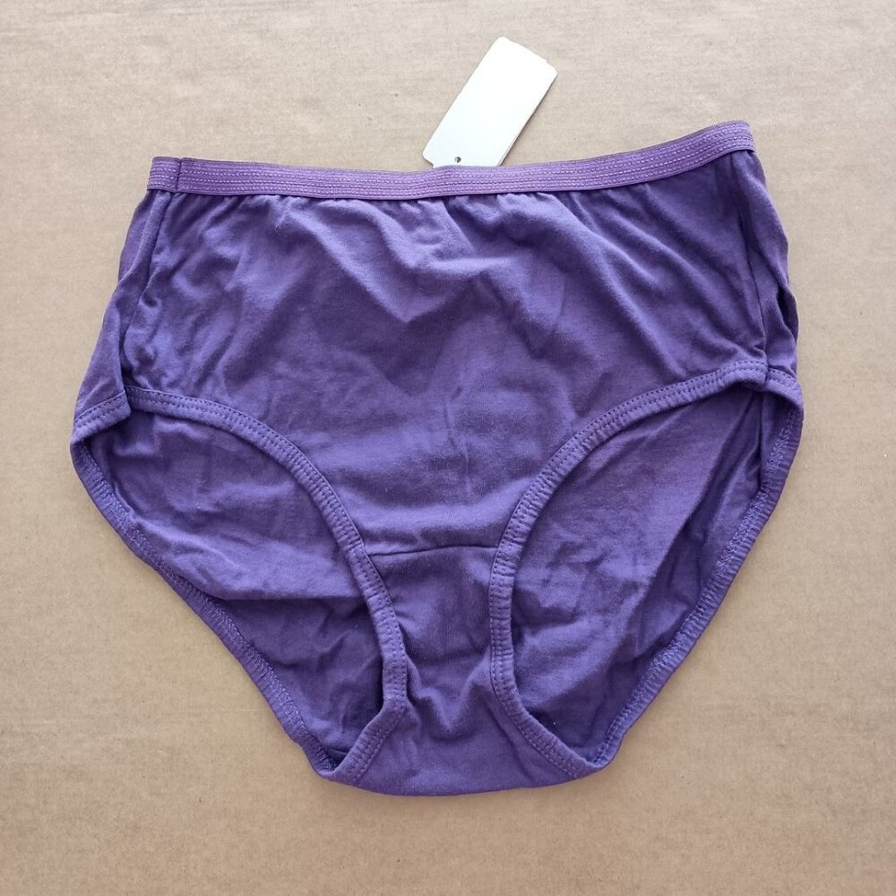 NWT Hanes purple briefs style panties size S